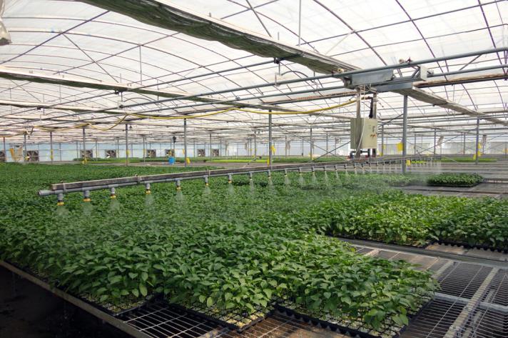 Glass Intelligent Greenhouse