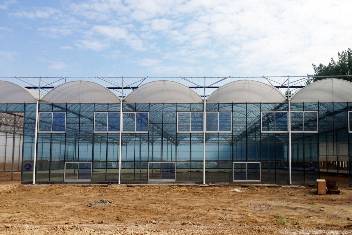 Glass Film Intelligent GreenHouse