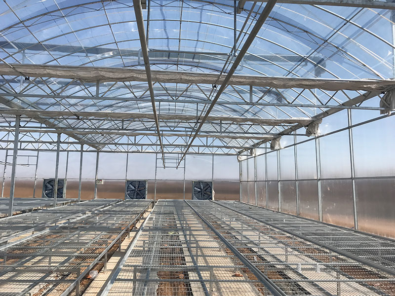 Multi-span film greenhouse